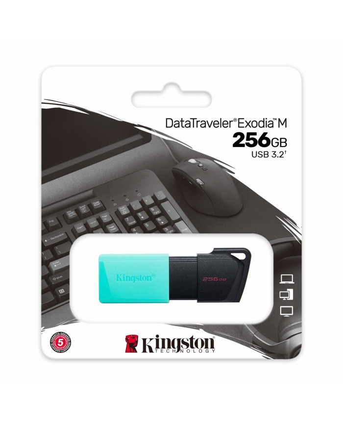 Kingston pen drive 256gb usb 3.2 exodia m