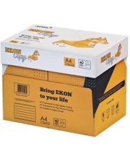 Risma carta fotocopie a4 rifascio verde 75 gr - made in indonesia