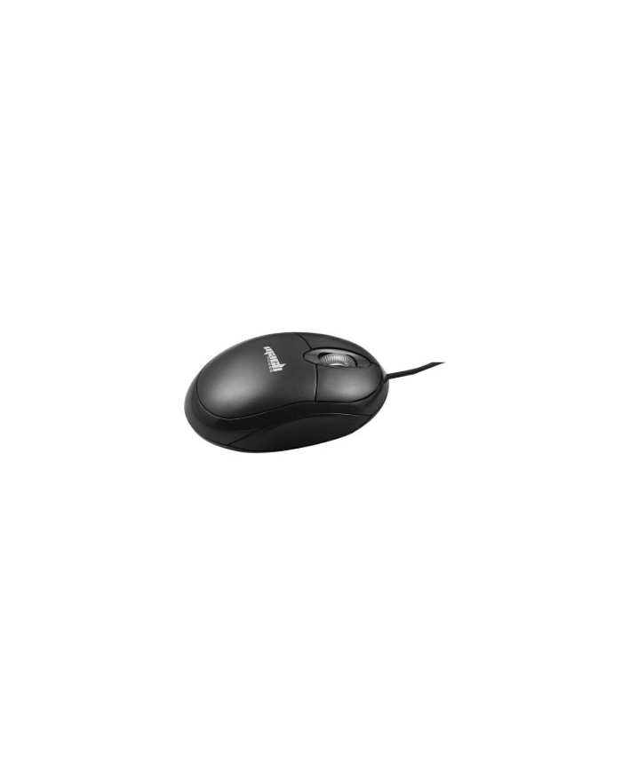Mach power mouse ottico usb 800dpi nero (t-umbk-007)