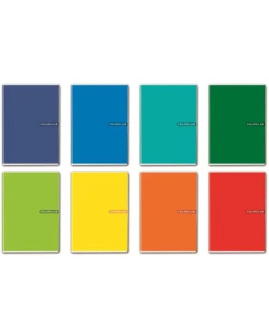 Maxi 20+1/1r colorclub blasetti  gr.80 (10pz) 7710ht