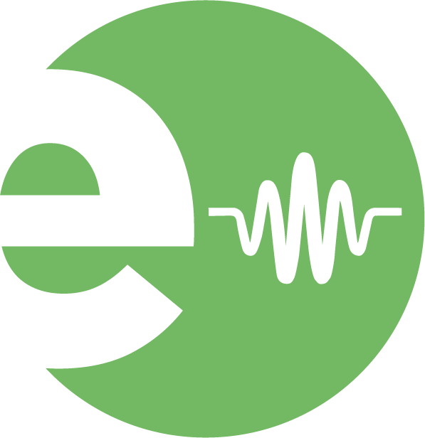 Elsist