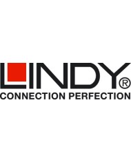 Lindy